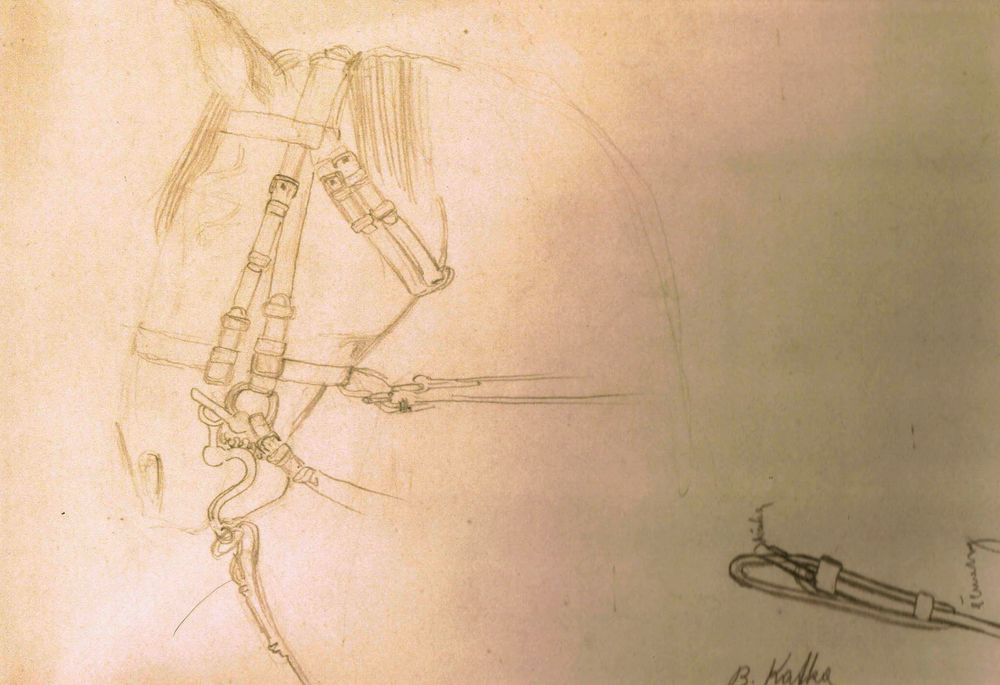 Jan Žižka z Trocnova u Národního památníku na Vítkově