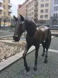 Náhled 2