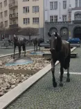 Náhled 1